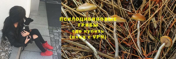 прущие крисы Заводоуковск