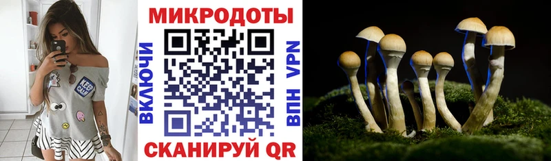 Галлюциногенные грибы ЛСД  Купить закладки  Омск 